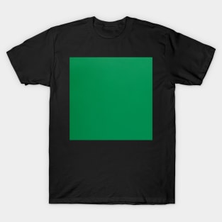 Green leather T-Shirt